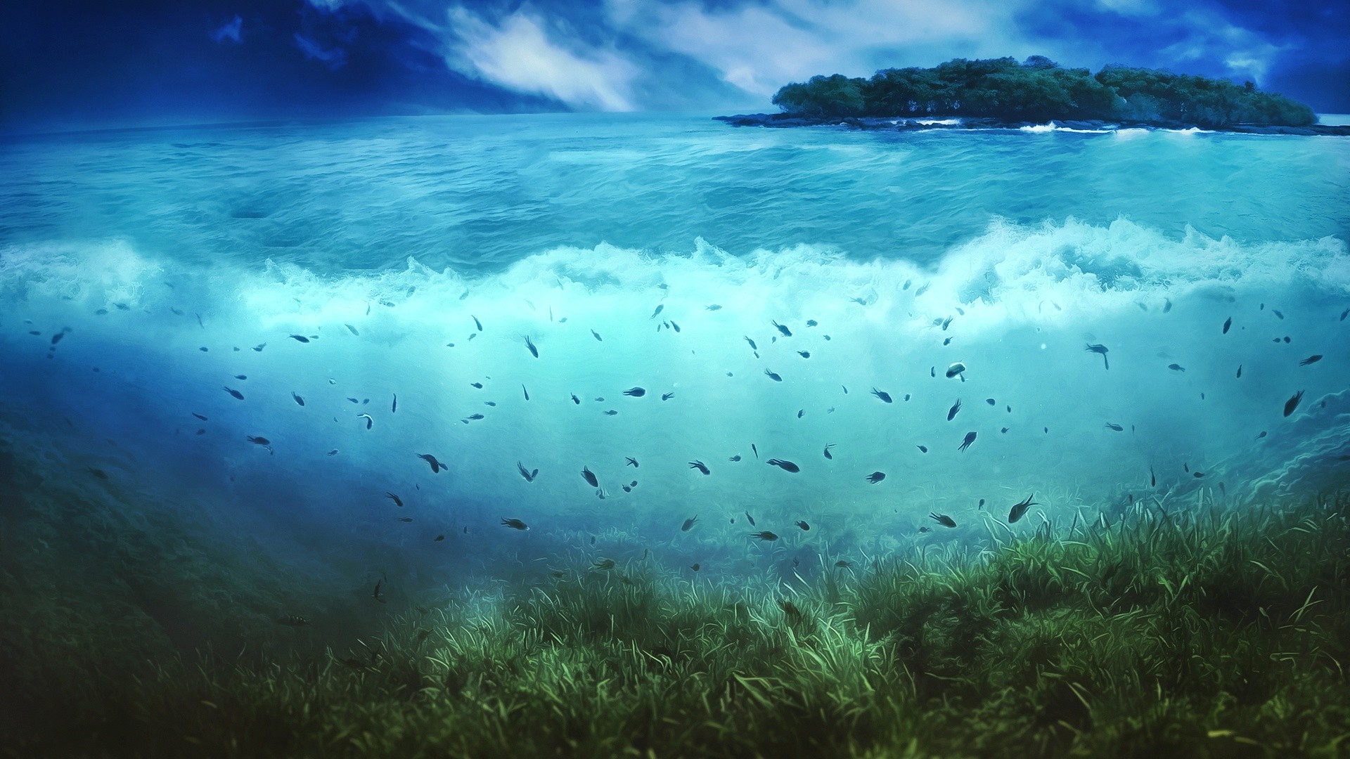 sea, Nature, Island, Fish, Artwork, Split View Wallpapers HD / Desktop